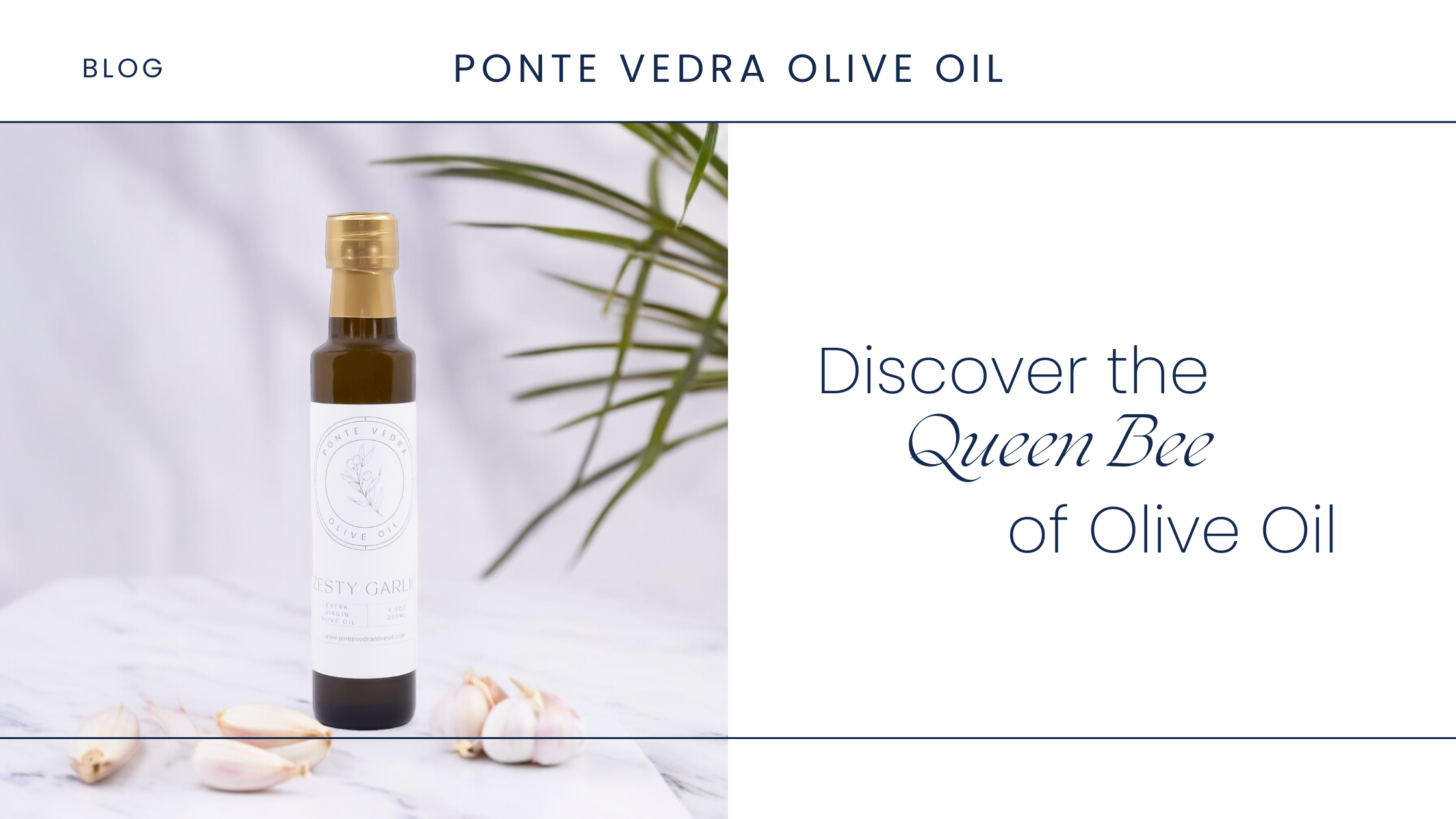 Discover the Queen Bee of Olive Oil